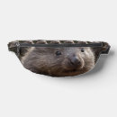 Search for baby bum bags Wildlife