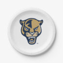 Search for license plates Roary the panther