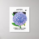 Search for aster canvas prints Garden