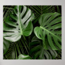 Search for layout posters Background