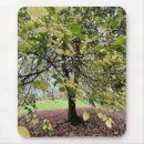 Search for tree mousepads Autumn