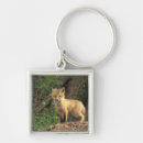 Search for front and key rings Nature