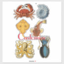 Search for cuttlefish stickers Octopus