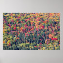 Search for quebec art Autumn