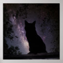 Search for starry night cat posters Sky
