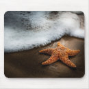 Search for animals one mousepads Starfish