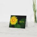 Search for dandelions thank you cards Nature