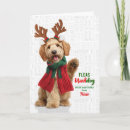 Search for goldendoodle christmas cards Dogs