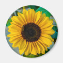 Search for shopping magnets Birthday