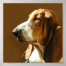 Search for basset hound art Pet