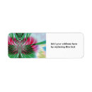 Search for fractal return address labels Abstract