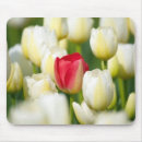 Search for marion mousepads County