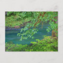 Search for sol postcards Washington