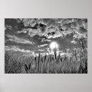 Search for sky image posters Black