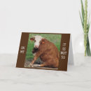 Search for moo cow birthday cards Friend