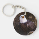 Search for bald round key rings Wildlife