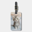Search for bedding accessories Cute