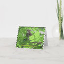 Search for animal sympathy cards Nature