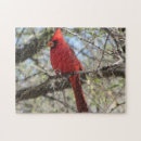 Search for cardinal puzzles Red