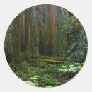 Search for redwoods national park stickers Forest