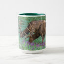 Search for rocky mountain elk mugs Gordon illg