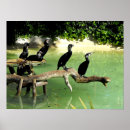 Search for ocean conservation posters Wildlife