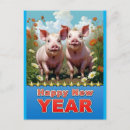 Search for year pig postcards Pigs