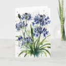 Search for agapanthus cards Elegant