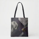 Search for asteroids accessories Science