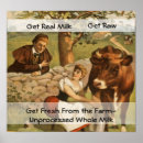 Search for dairy cow posters White