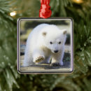 Search for polar bear christmas tree decorations Wild animal