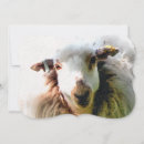 Search for sheep invitations Funny