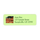 Search for pumpkin patch return address labels Fall