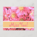 Search for missing postcards Daisies