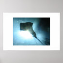 Search for stingray art Nature