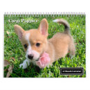 Search for puppy calendars Dog lover