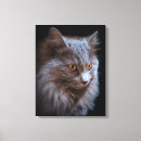 Search for long hair canvas prints Pets