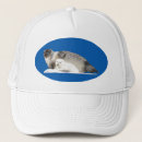 Search for digital hats Wildlife