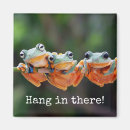 Search for tree frogs magnets Cute