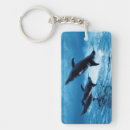 Search for amos key rings Fish