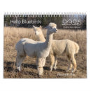 Search for bluebird calendars Nature photography