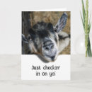 Search for goat cards Livestock