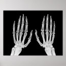 Search for skeleton anatomy posters Vintage