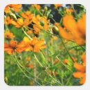 Search for cosmos flower stickers Floral