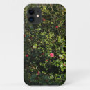 Search for camellia flower iphone cases Camellias