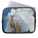 Search for marsupial electronics Kangaroo