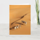 Search for camel cards North africa