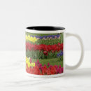 Search for holland park mugs Flora