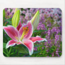 Search for stargazer lily mousepads Nature