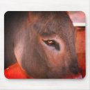 Search for donkey mousepads Farm